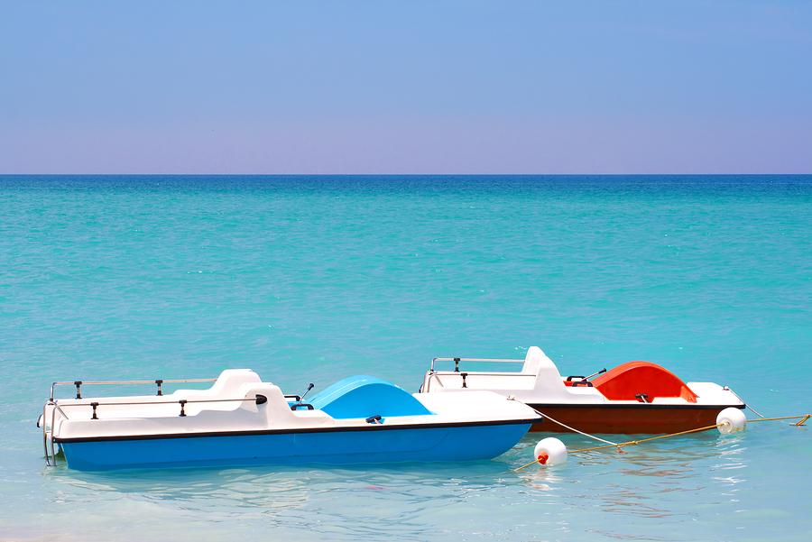 On-island activities at Isabella Caye