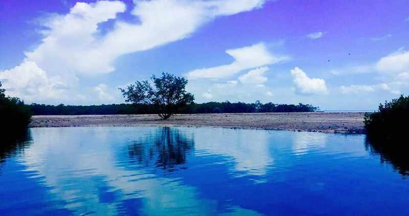 Created Marina Beach