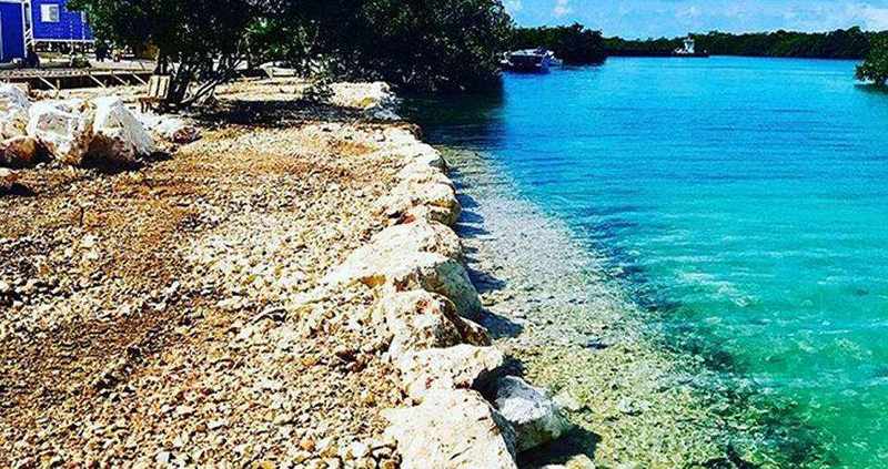 Seawall Construction