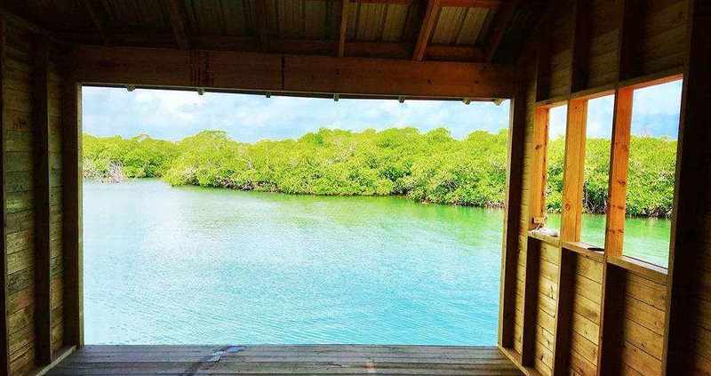 Spa Room View