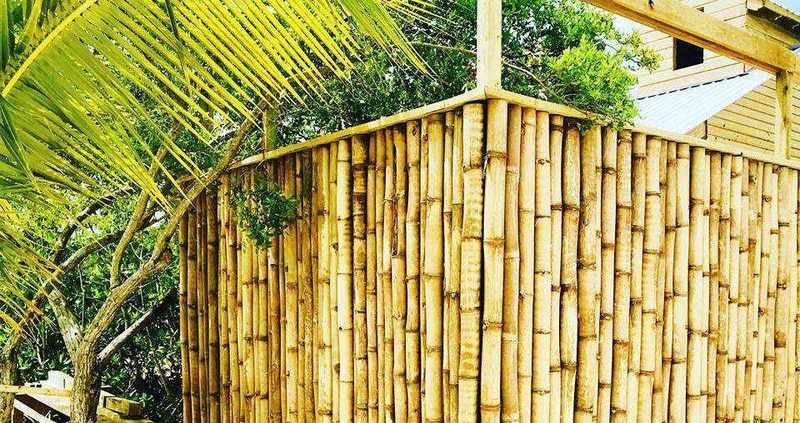 Bamboo Fencing